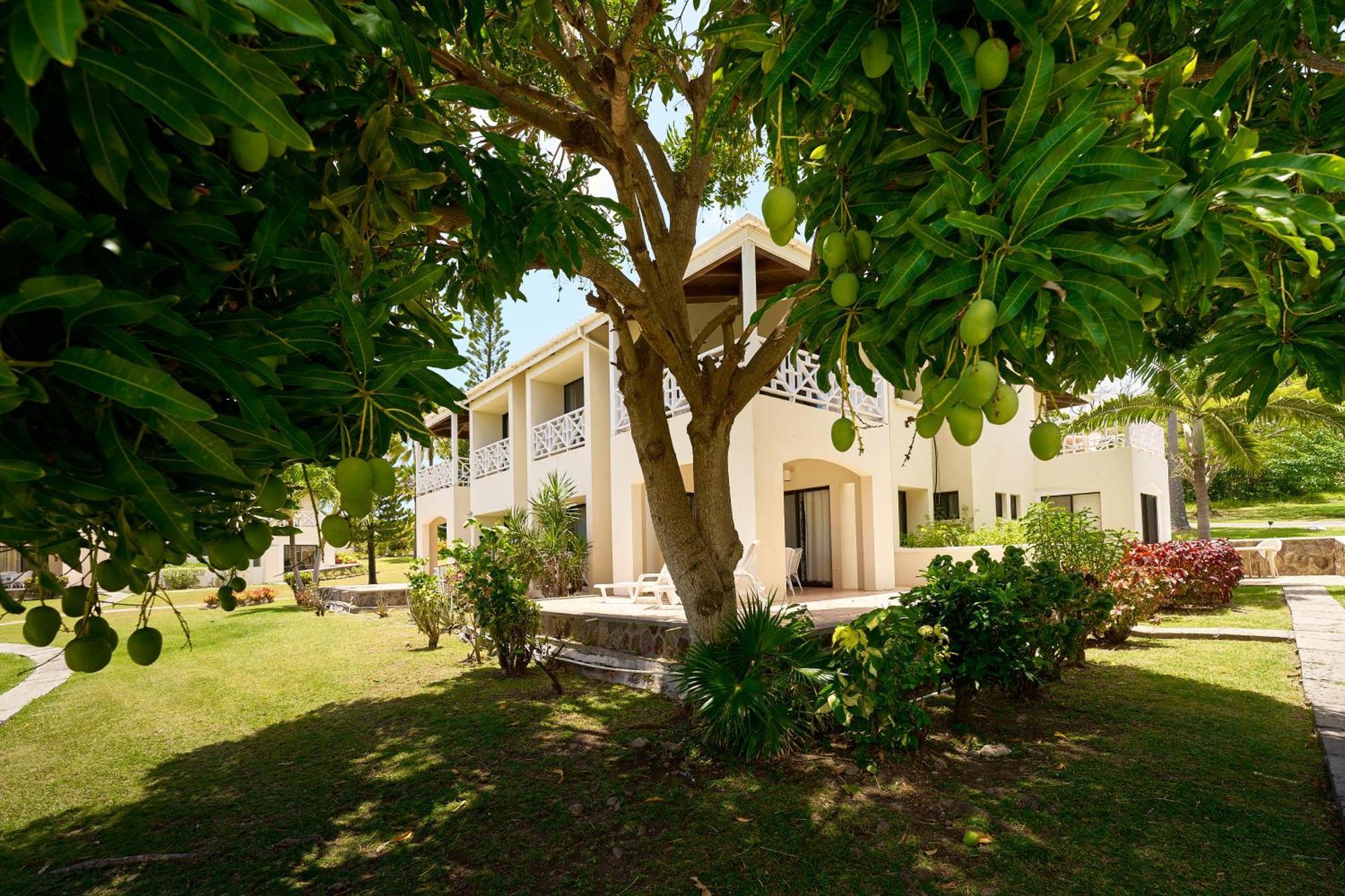 Mount Nevis Hotel 외부 사진